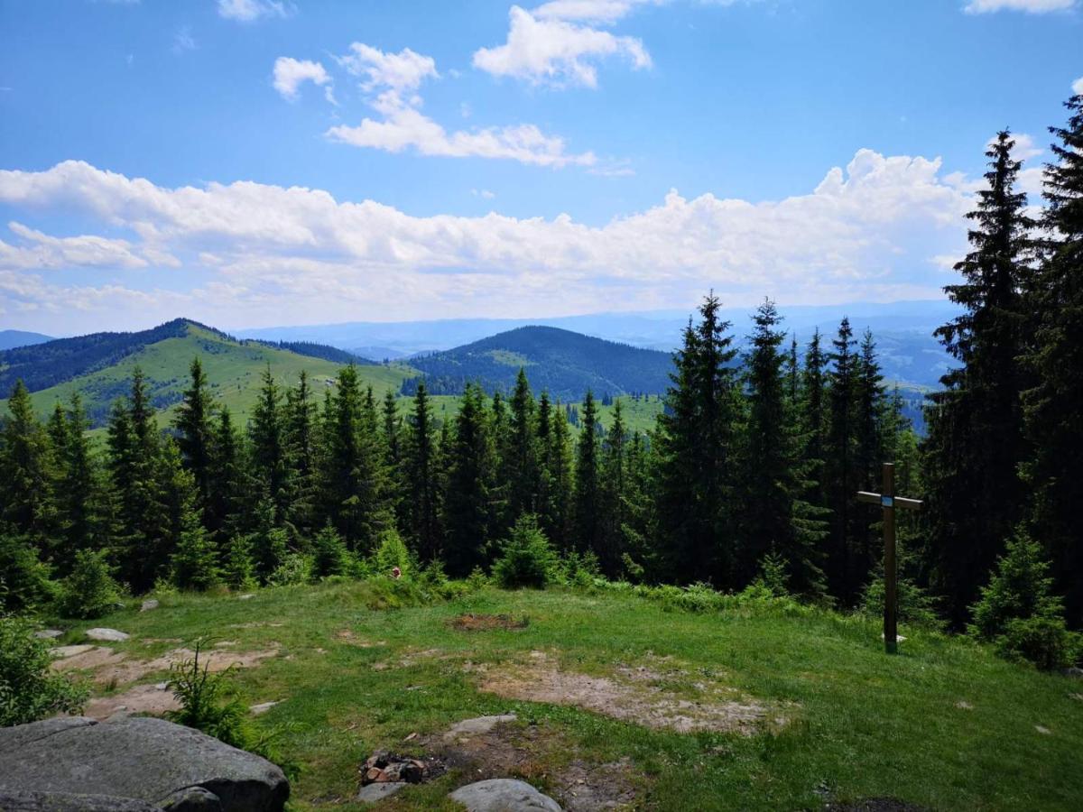 Садиба Кичера Petrashi Exteriör bild