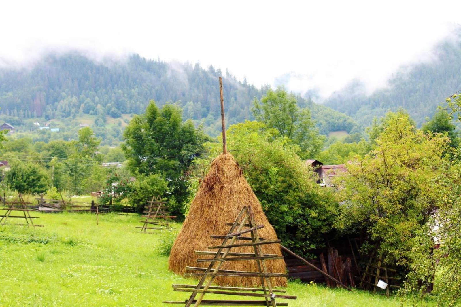Садиба Кичера Petrashi Exteriör bild